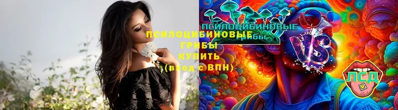 Псилоцибиновые грибы мухоморы  Волчанск 