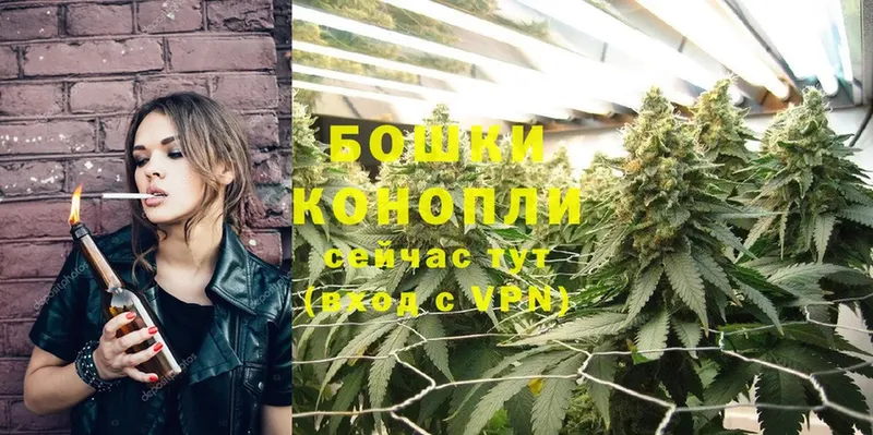 Марихуана OG Kush  купить наркотик  Волчанск 